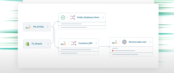 Qlik Talend Cloud®